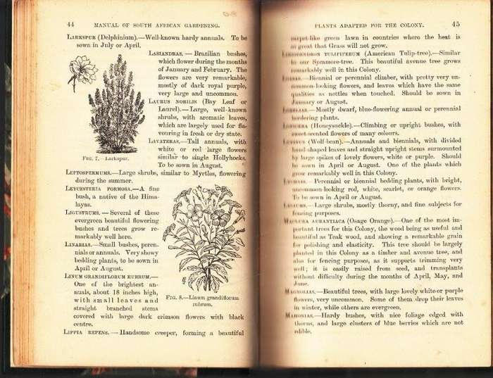 South African Gardening - A Practical Guide for Amateurs and Beginners (Hardcover, 1892 2nd Edition)