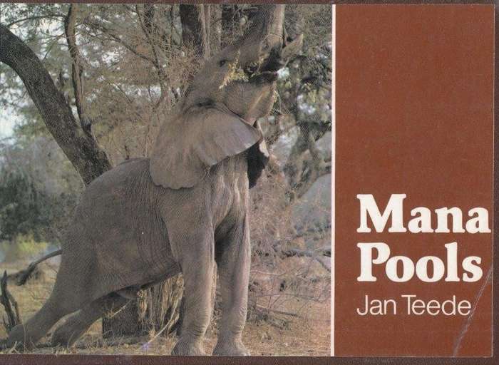 Mana Pools - Teede, Jan