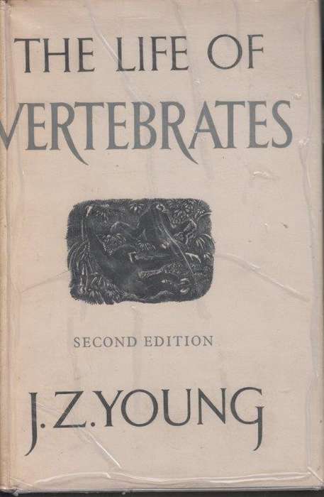 The Life of Vertebrates (Hardcover) - Young, J. Z.