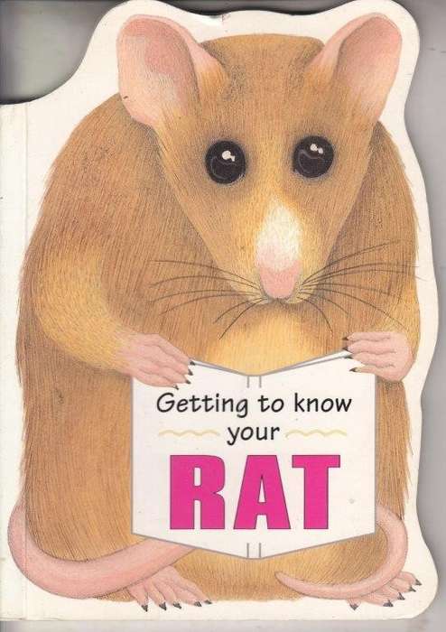 Getting to Know Your Rat - Page, Gill