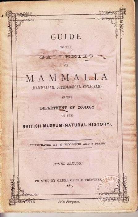 Guide to the Galleries of Mammalia (Mammalian Osteological Cetacean)