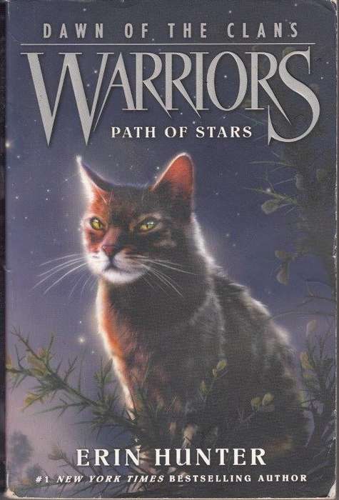Warriors: Path Of Stars (Dawn of the Clans 6) - Hunter, Erin