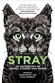 Stray - Awerbuck, Diane & Moffett, Helen