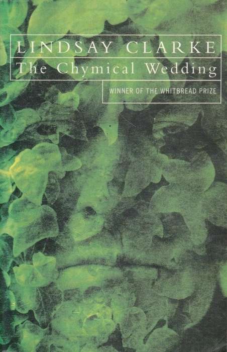 The Chymical Wedding - Clarke, Lindsay