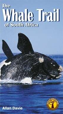 The Whale Trail of South Africa (Special Order ALLOW 5-7 Days) - Davie, Allan