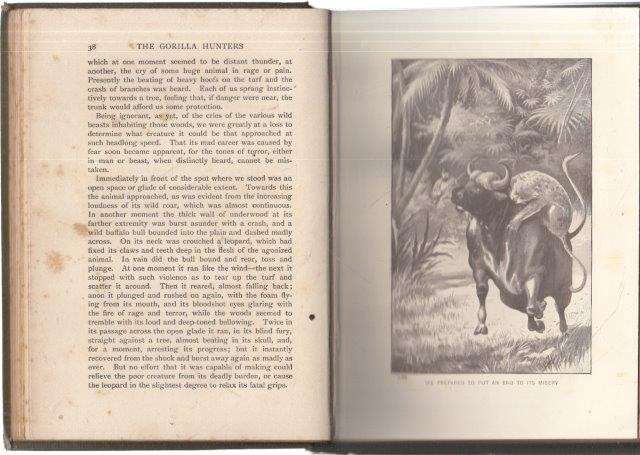 The Gorilla Hunters (Hardcover) - Ballantyne, R. M.