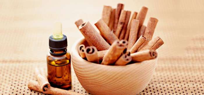 Cinnamon Bark Essential Oil10 ml (1/3 oz). 100% Pure, Undiluted
