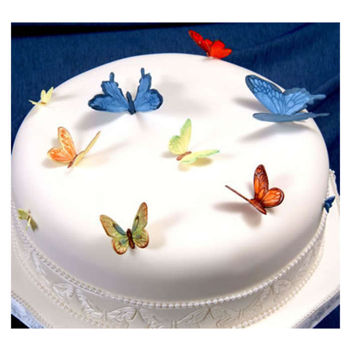 Patchwork Cutters BUTTERFLIES, LADYBIRDS, BEES Sugarcraft Cake Decorating