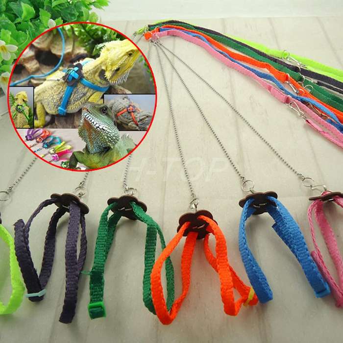 Adjustable Pet Reptile Birds Lizard Harness Leashes Adjustable Multicolor Lead