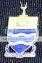Wits Coat Of Arms Badge