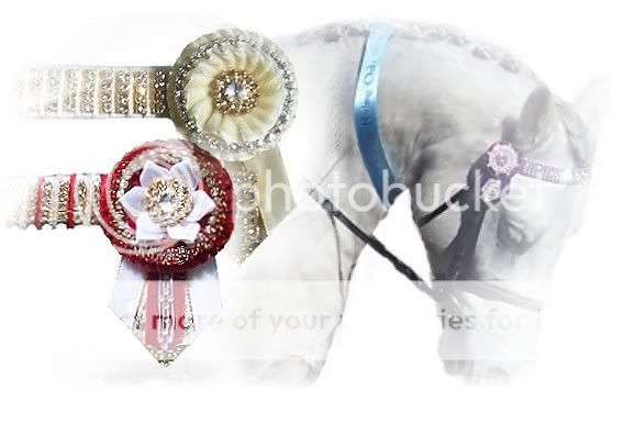 Browbands - Ebook