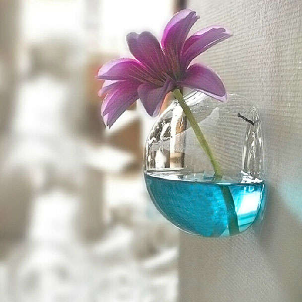 Wall-mounted Flower Glass Vase Hydroponic Plants Container