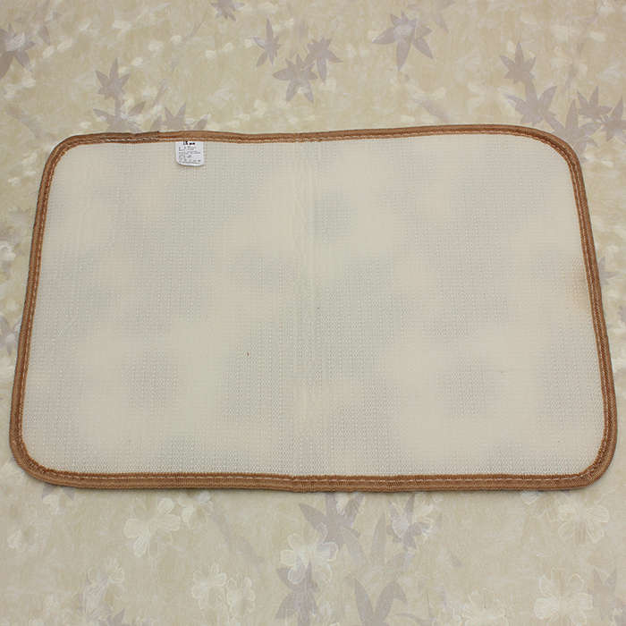 absorbent coral velvet carpet
