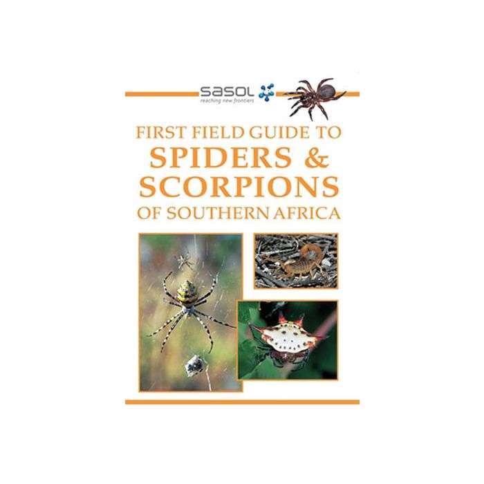 Sasol First Field Guide To Spiders & Scorpions Of Southern Africa (Paperback)