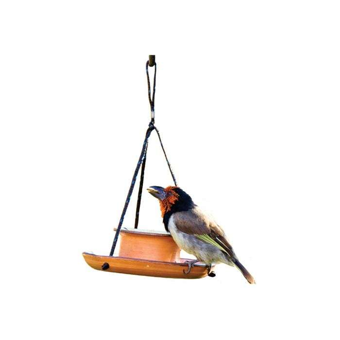 Elaine's Terracotta Mealworm Bird Feeder