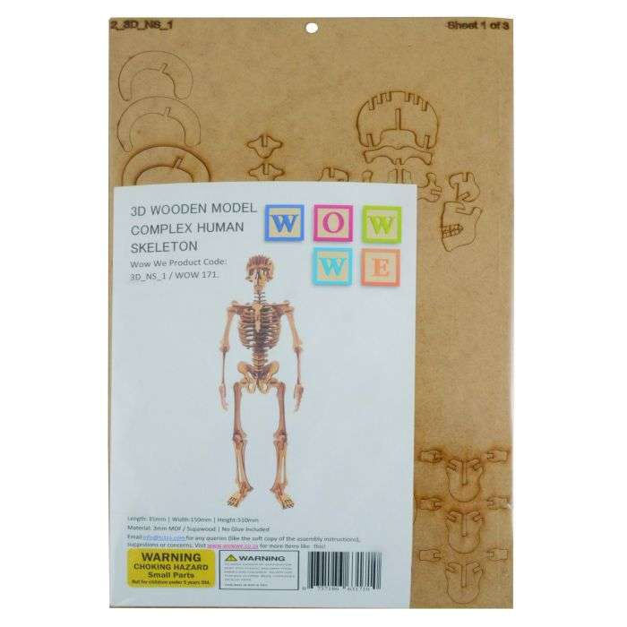 Wow We 3D Wooden Model Complex Human Skeleton