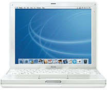 Apple iBook G3/G4 14.1"  XGA Replacement LCD/TFT Panel