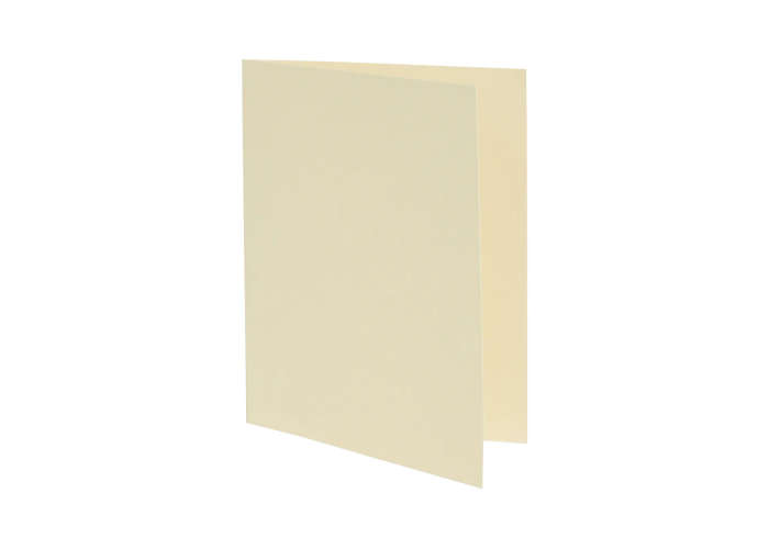 2008044 - Cricut Joy Insert Cards 12-Pack (Cream Holo)