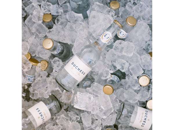 The Duchess Non-Alcoholic Gin & Tonic - TDNAGT4P - Pack of 4