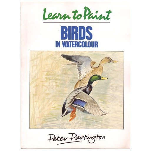 Learn to paint Birds in watercolour