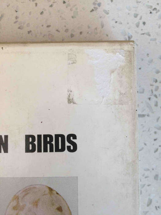 Priest's Eggs of Southern African Birds