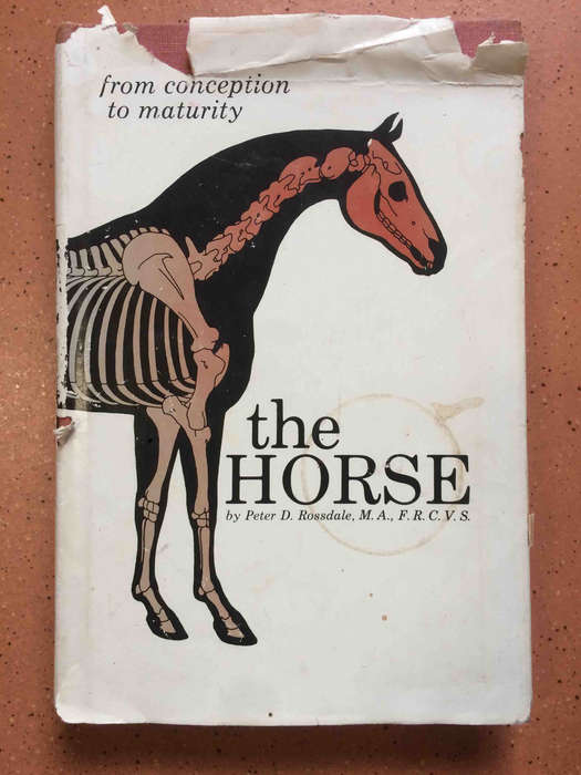The Horse: From Conception to Maturity