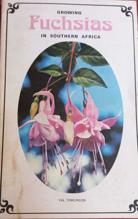 Growing Fuchsias in Southern Africa
