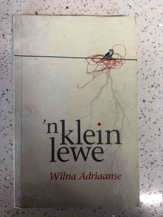 'n Klein Lewe