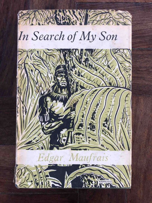 In Search of My Son