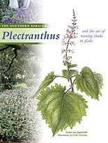 The South African Plectranthus