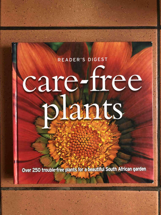 Care-Free Plants
