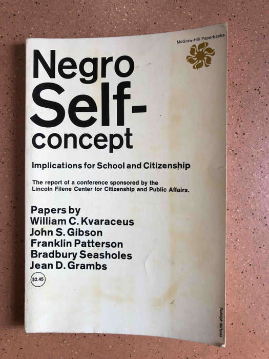 Negro Self-Concept