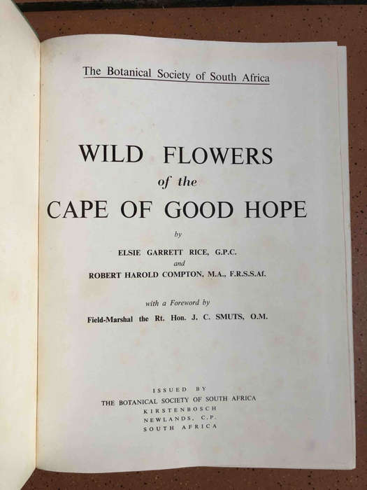 Wild Flowers of The Cape of Good Hope