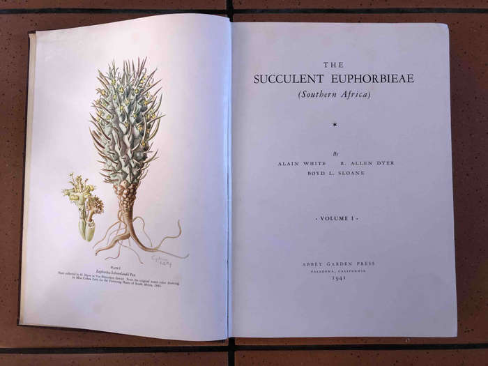 The Succulent Euphorbieae (Southern Africa): Volume 1