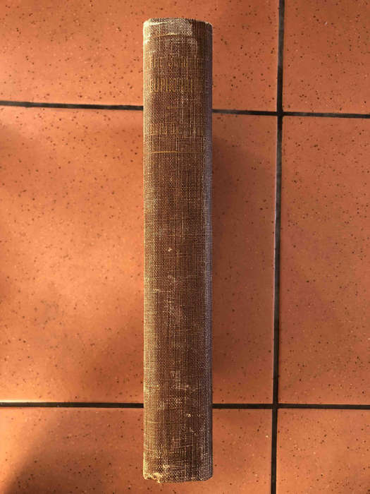 The Succulent Euphorbieae (Southern Africa): Volume 1