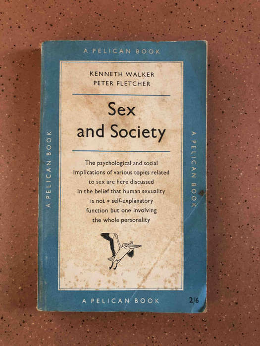 Sex and Society