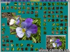 Jigsaw Solver 15