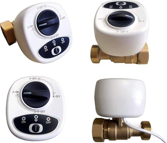 eWelink Smart WiFi Water Valve Shutoff For 1-Inch Pipes - DN25
