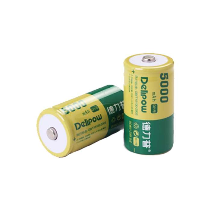 Delipow 5000mah Size D Rechargeable Battery - Single battery