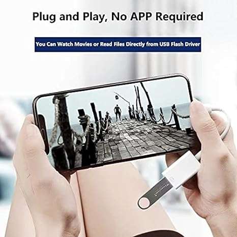Iphone Lightning OTG adapter