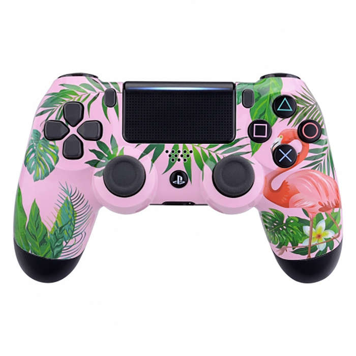 PS4 Dualshock 4 V2 Front Faceplate Art Series Florida