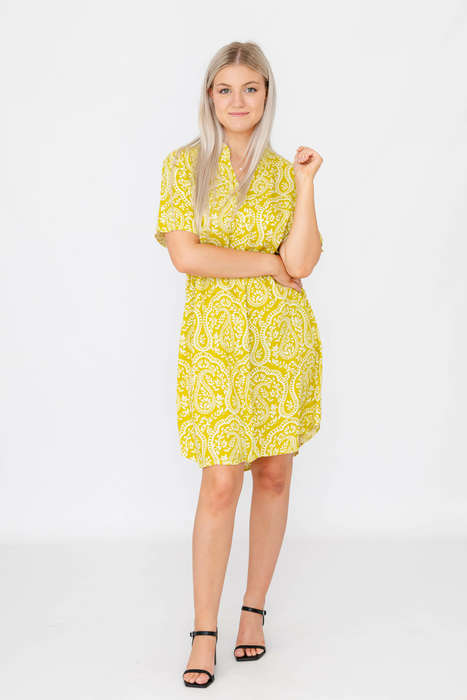 Robin Relaxed Oversized Short Sleeve Shirt Dress