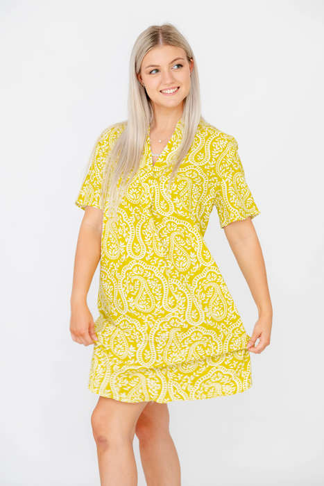 Robin Relaxed Oversized Short Sleeve Shirt Dress