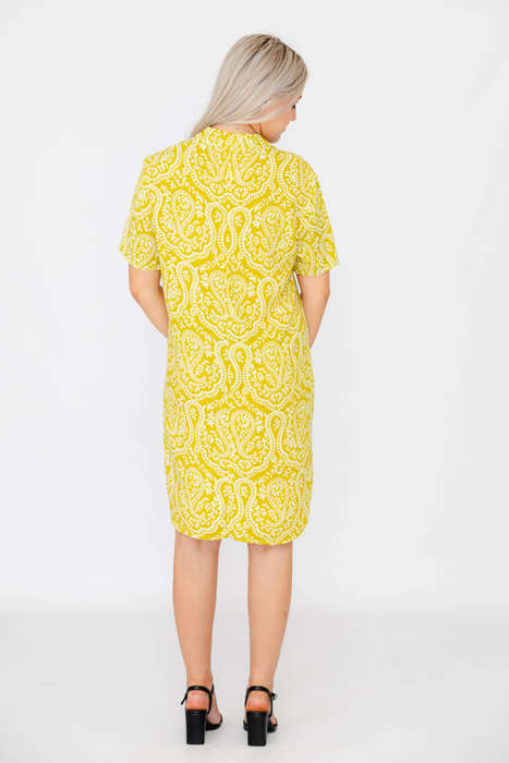 Robin Relaxed Oversized Short Sleeve Shirt Dress