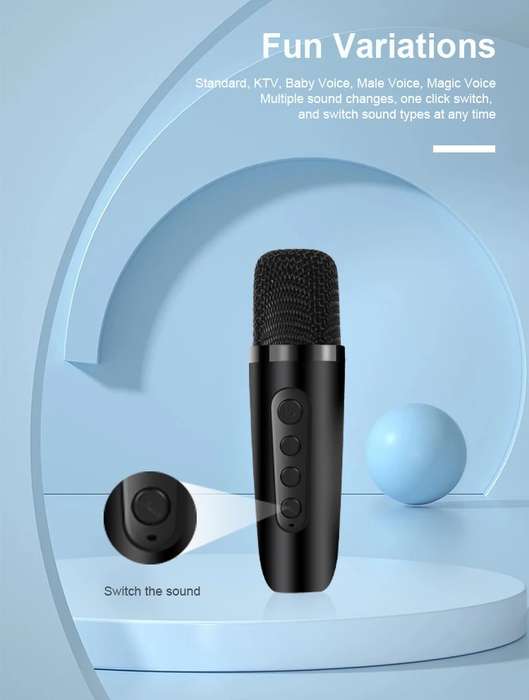Rechargeable Mini Portable Wireless Bluetooth Speaker With Karaoke Microphone RGB Light