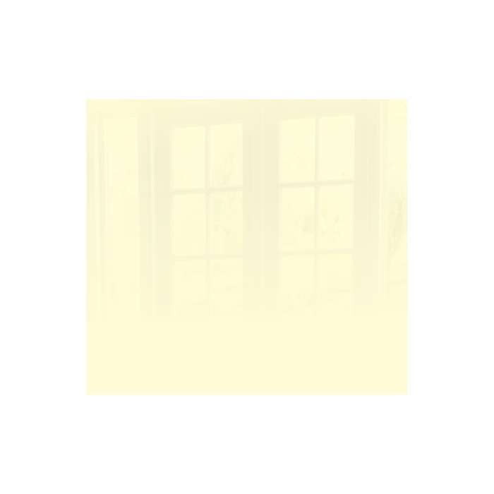 Decorative Glass Wall Tile (598 X 650 X 6mm) Metal Champagne