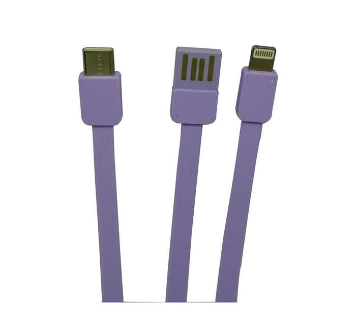 Viaking Power Bank 10000 mAh Capacity- Colour Purple