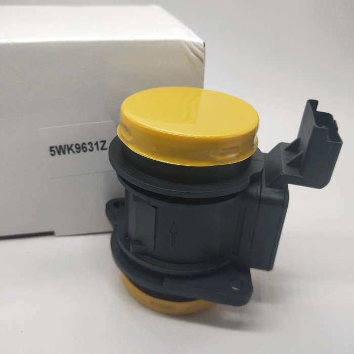 Mass Air Flow Maf Sensor Meter For PEUGEOT 206 207 307 1007 1.4HDi 1.4 HDI 8HZ DV4TD 96 575 336 8...