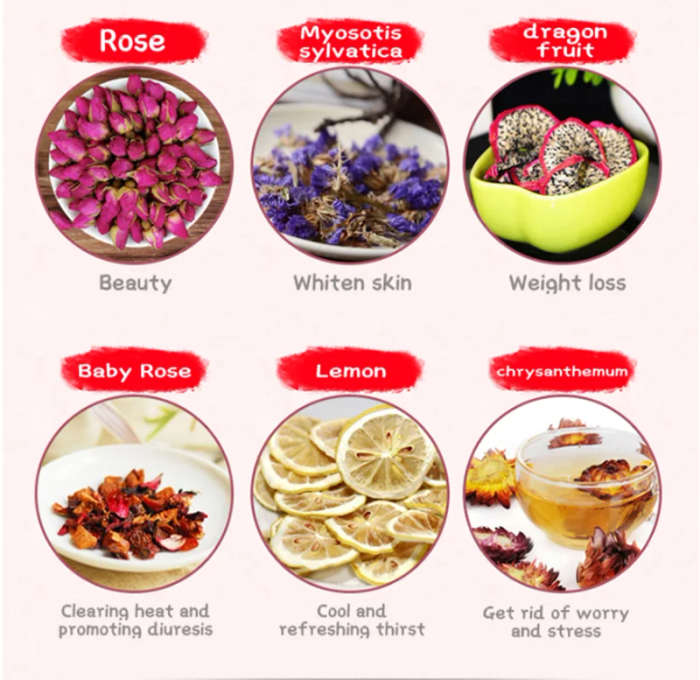 Food Dehydrator