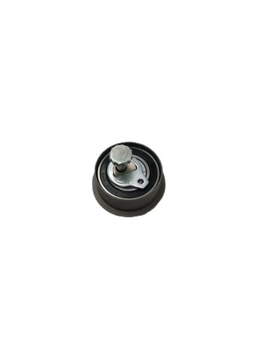 Timing Belt Tensioner For Hyundai PICANTO/GETZ 2441002100 24410-02100